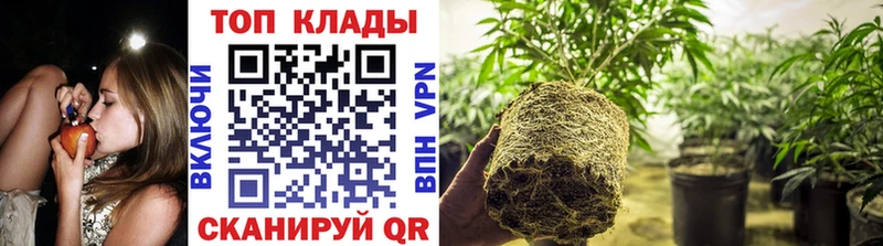 Где купить наркоту Сунжа АМФ Галлюциногенные грибы ГАШИШ Вейп ТГК Мефедрон
