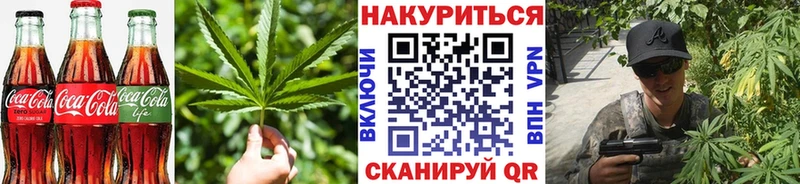 Canna-Cookies конопля Сунжа