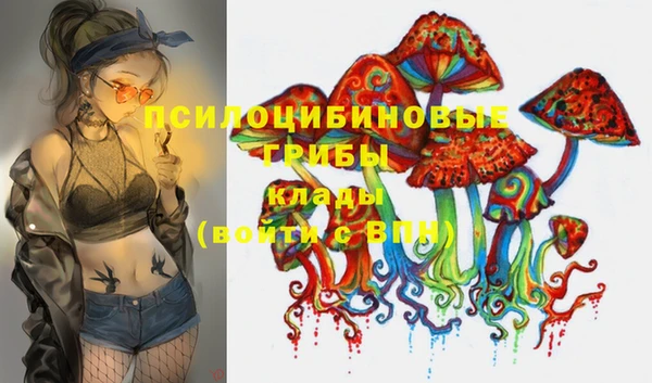 хмурый Балабаново