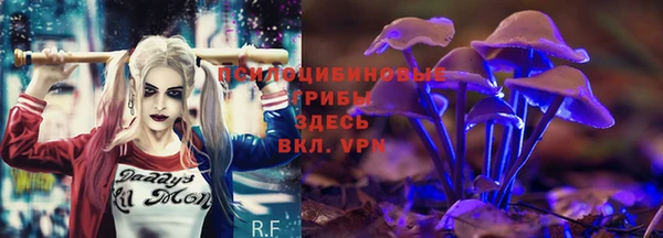марихуана Баксан
